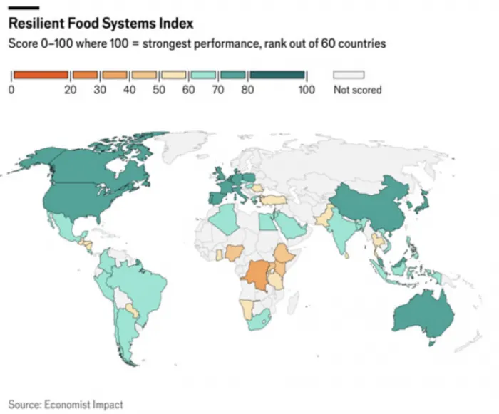 Climate-Resilient Cooking: 10 Sustainable World Flavors Dominating Restaurant Menus in 2026