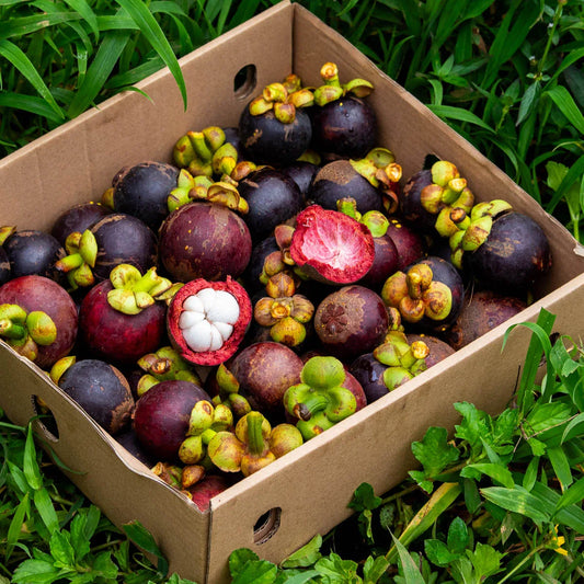 exotic fruits