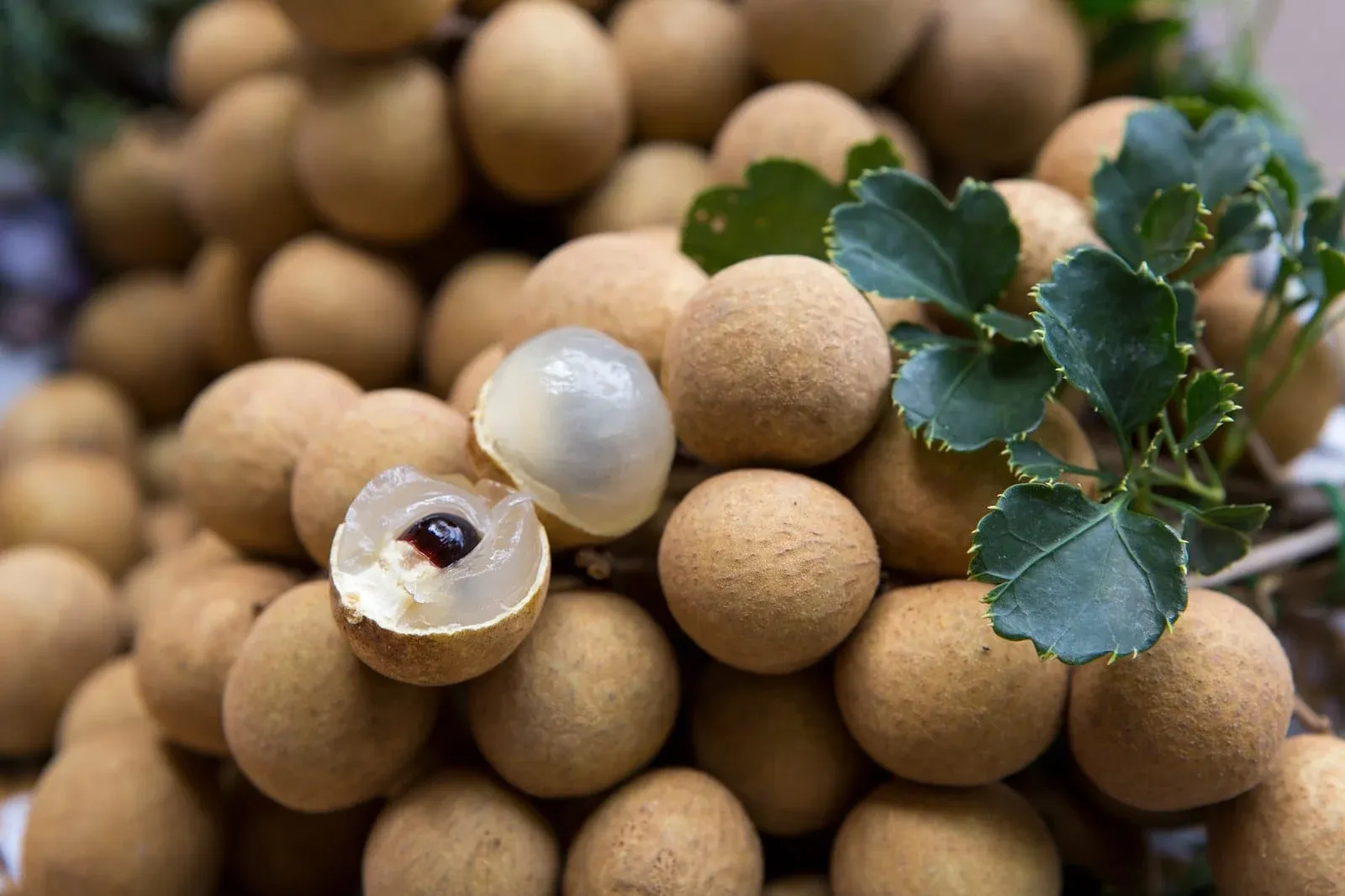 's Hottest Exotic Fruits