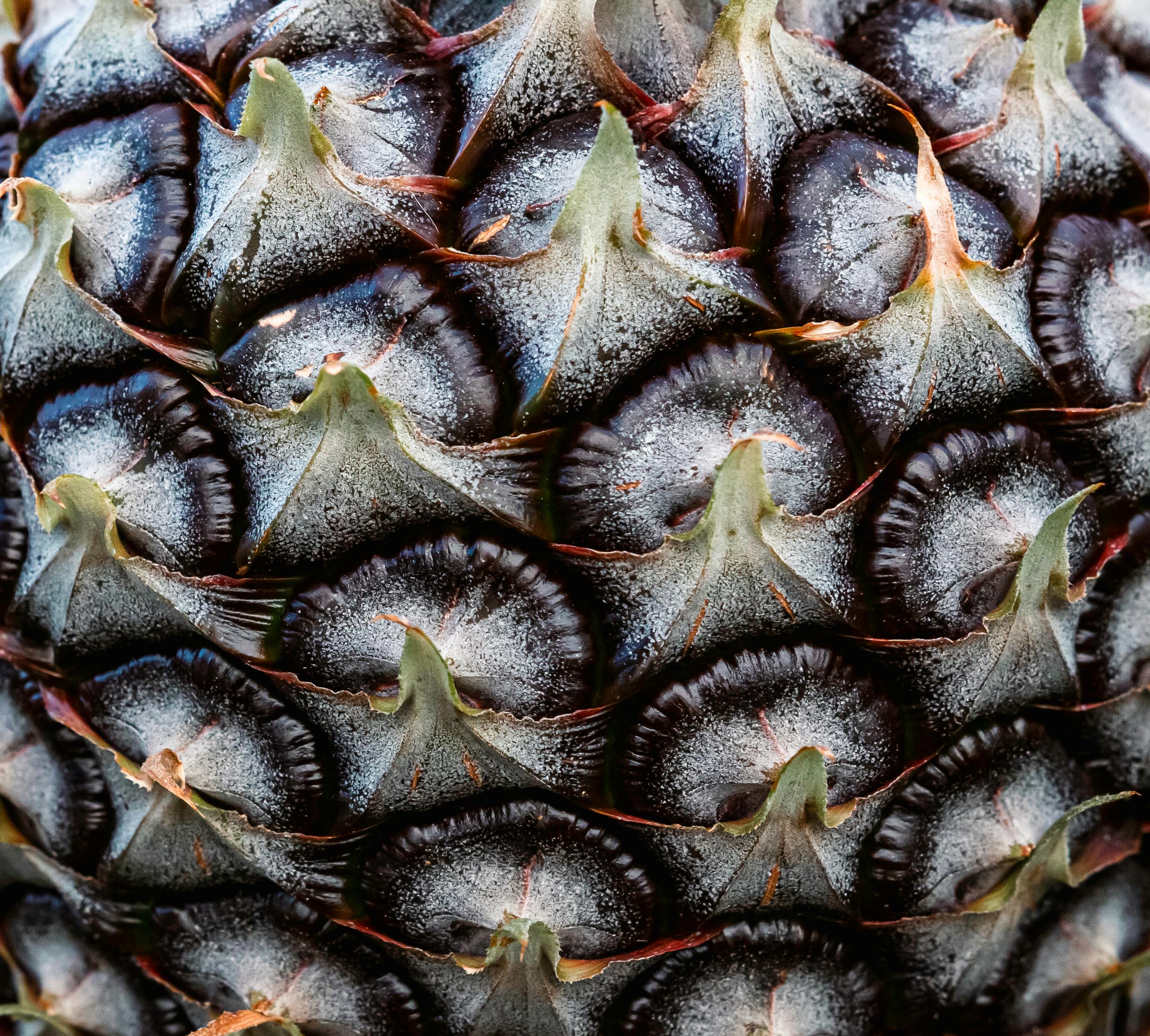 Close up of Exotic Fruit