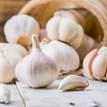 garlic clove