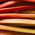 fresh rhubarb stalks
