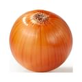 whole onion