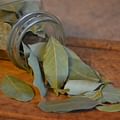 bay leaves