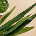 pandan leaves