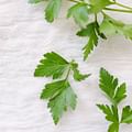fresh parsley