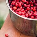 fresh Goji berries