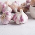 garlic cloves