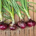 onions