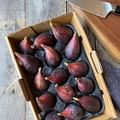 fresh figs