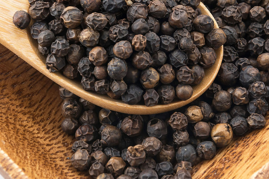 black peppercorns spice