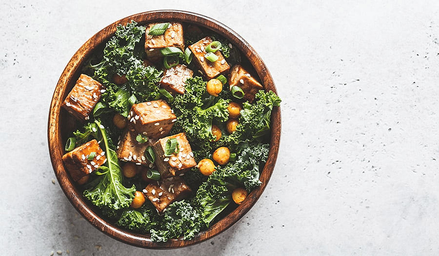 A Guide to Unique PlantBased Protein Alternatives What Does Tofu