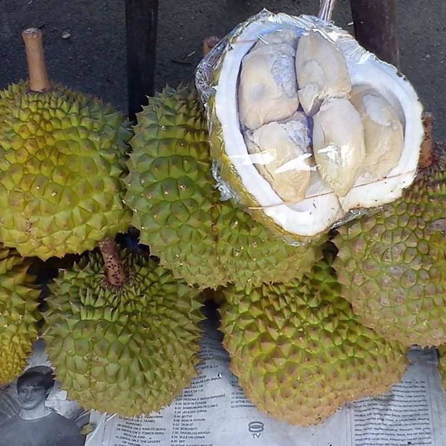 Whole Durian fruit and its pulp displayed