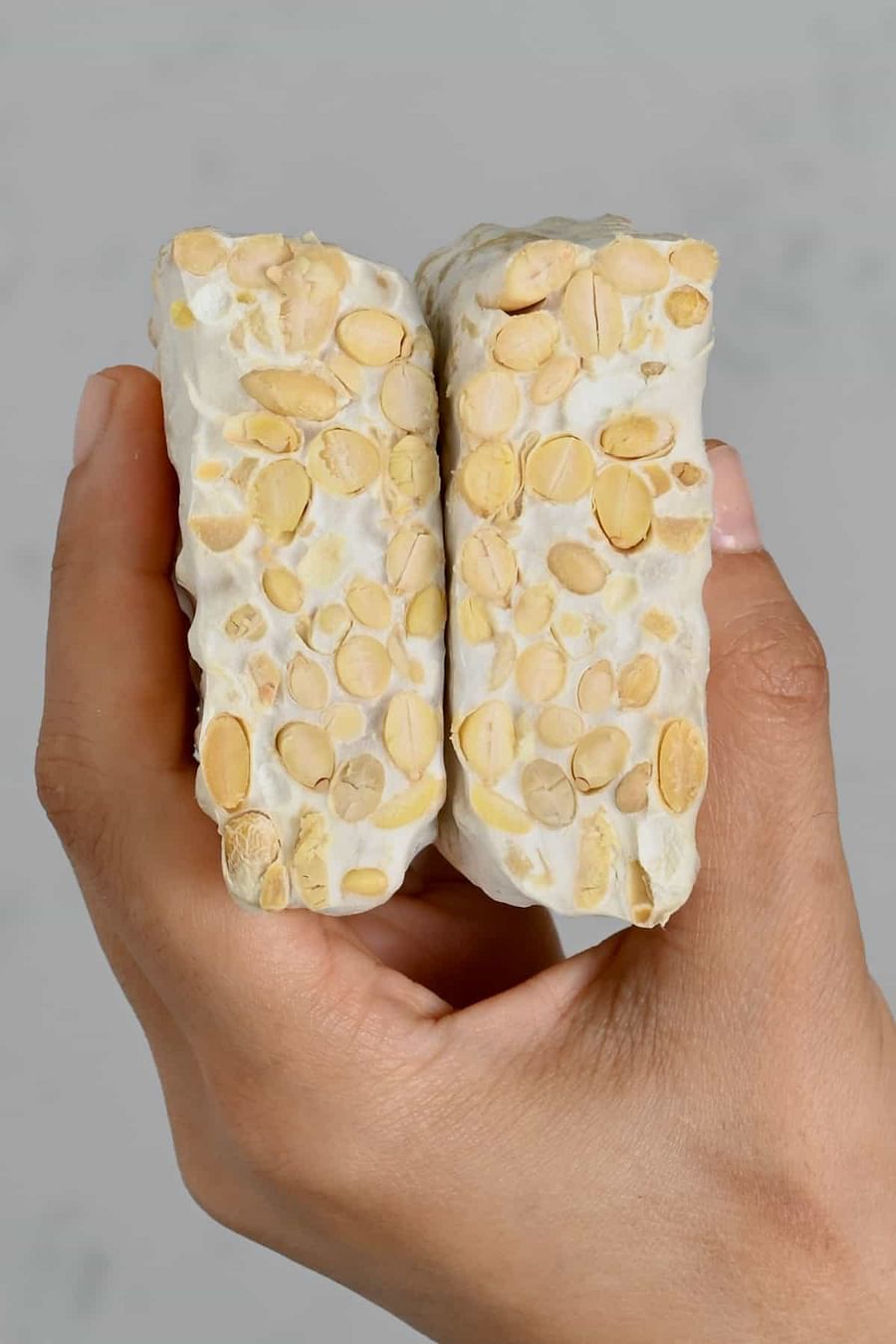 Tempeh vs. Tofu A Battle of PlantBased Protein Alternatives