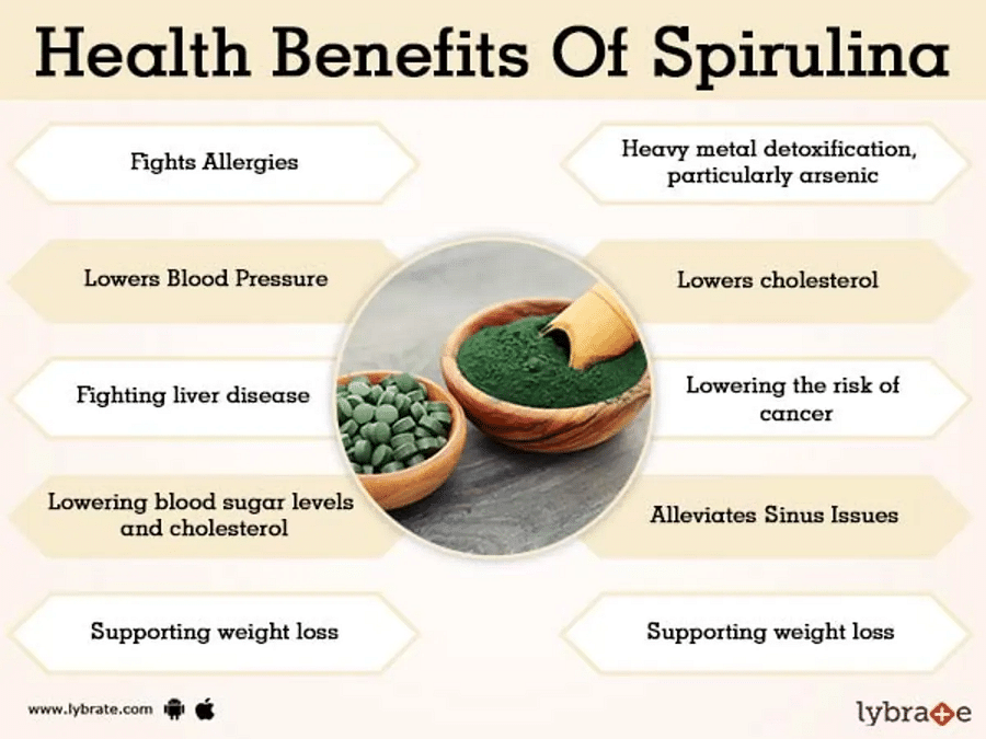 The Fascinating World of Seaweeds What Does Spirulina Taste Like and